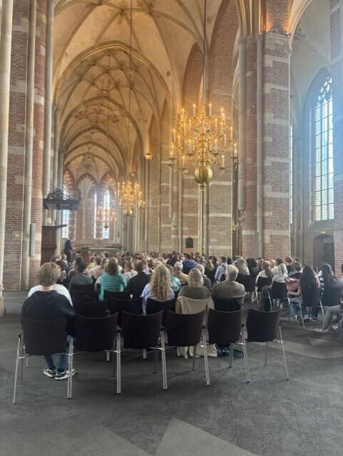 diploma uitreikingen