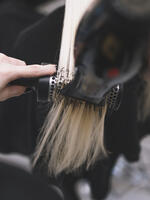 haarstylist